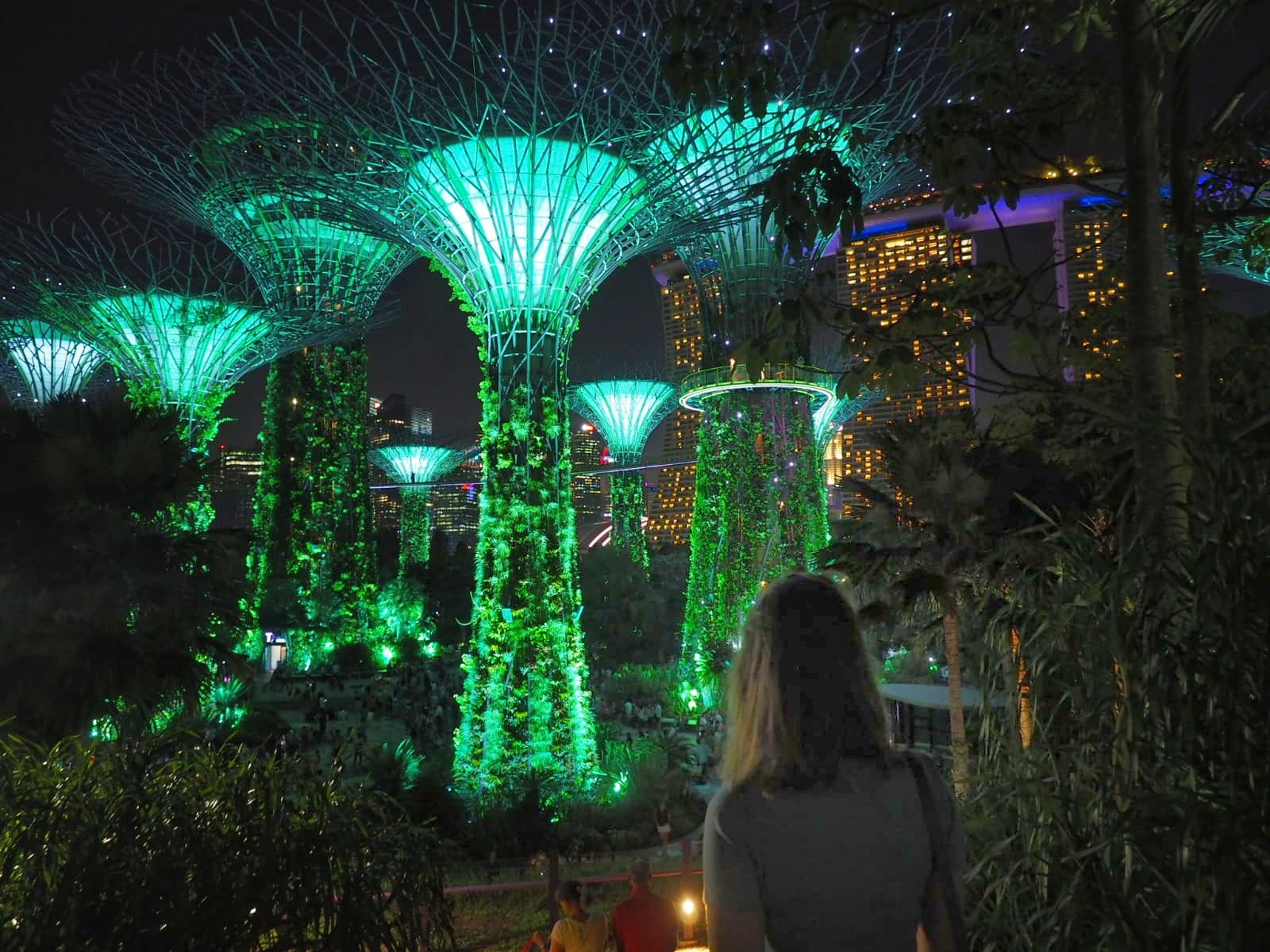 Garden by the Bay Singapour