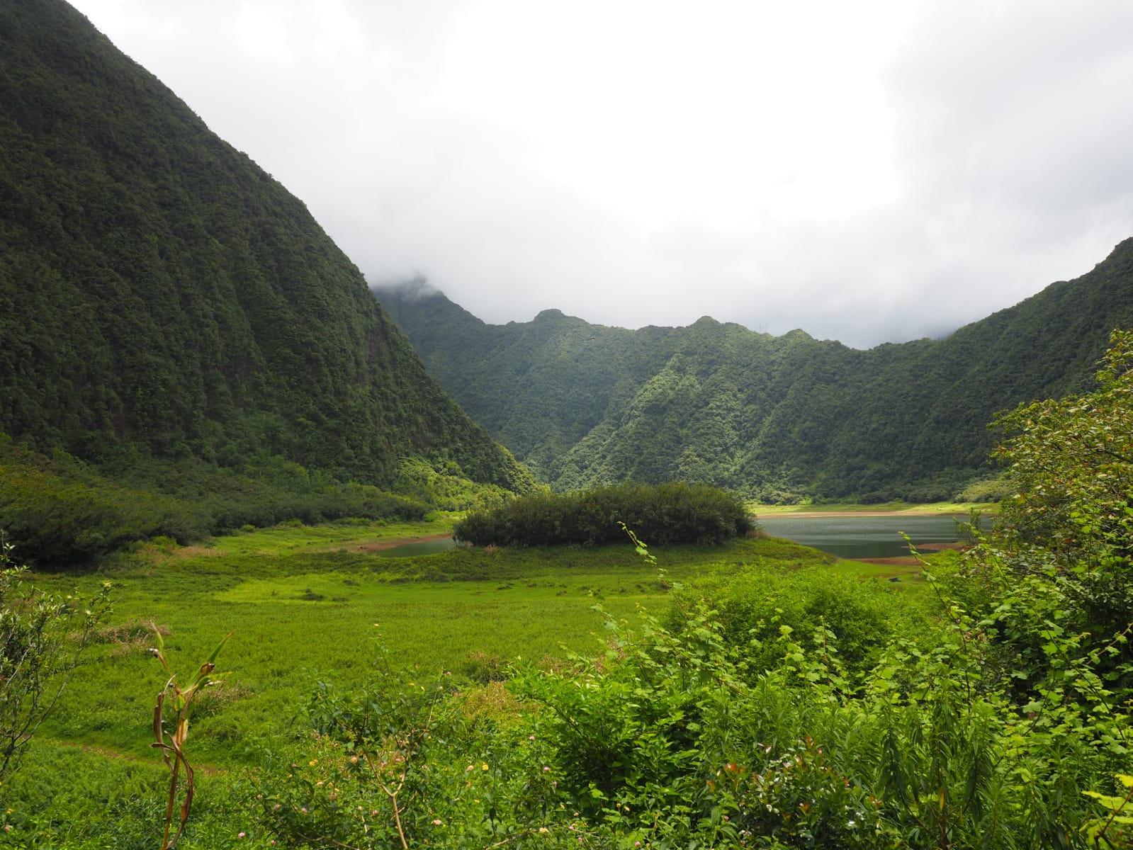 Grand Etang : une randonnée familiale à La Réunion