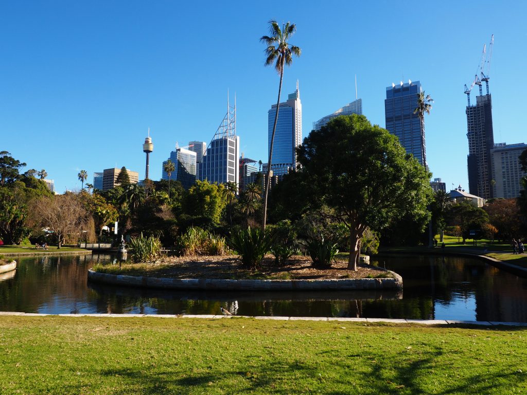 Jardin botanic Sydney