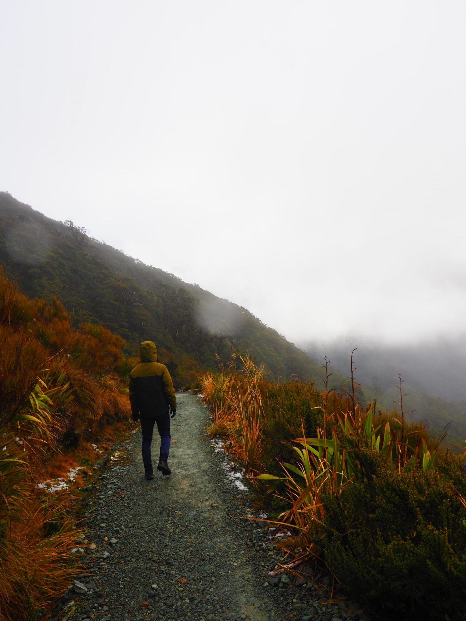 Randonnée Milford Sound road-trip nouvelle-zélande