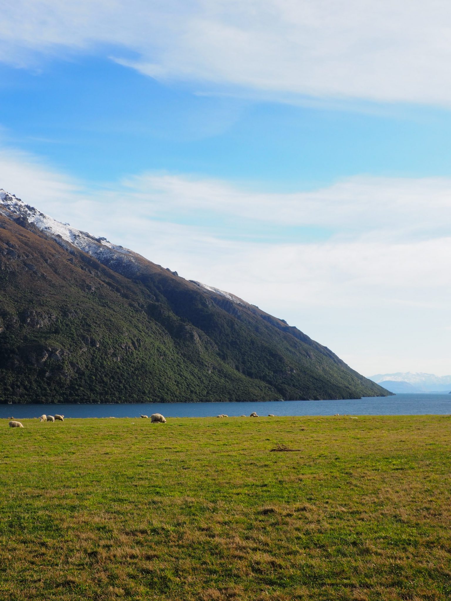 Montagne et champ avec vue sur un lac et des moutons