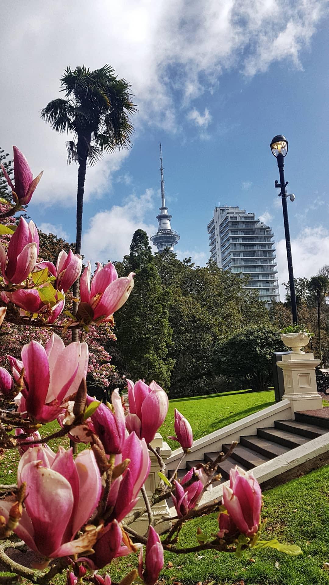 Auckland au printemps