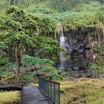 La Réunion : quoi visiter dans le Sud Sauvage ?