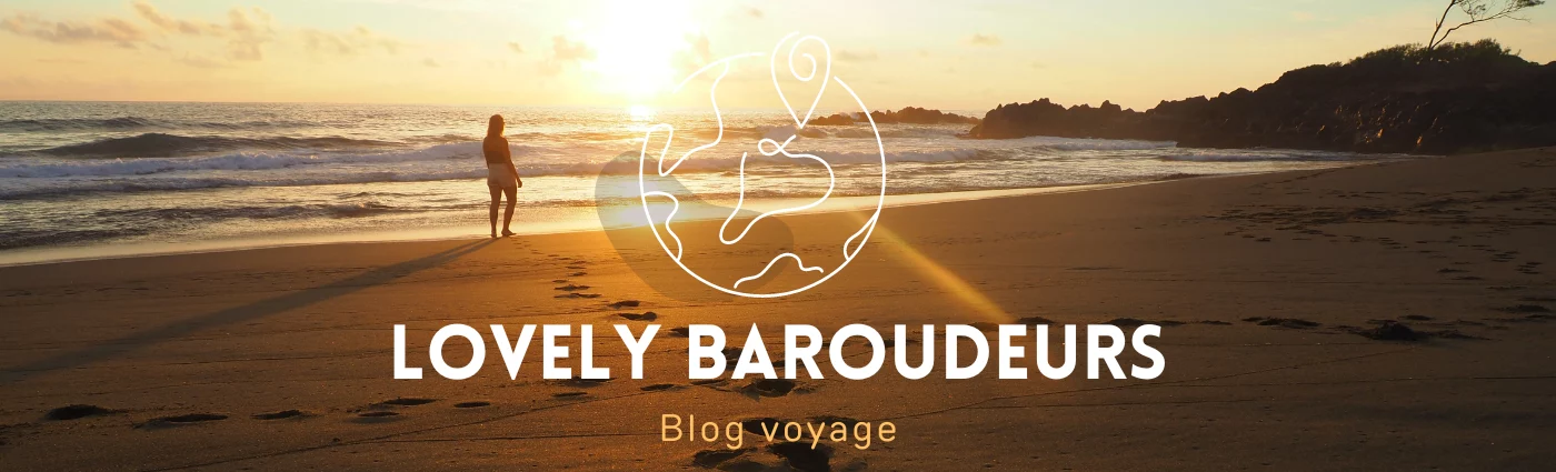 blog voyage reunion