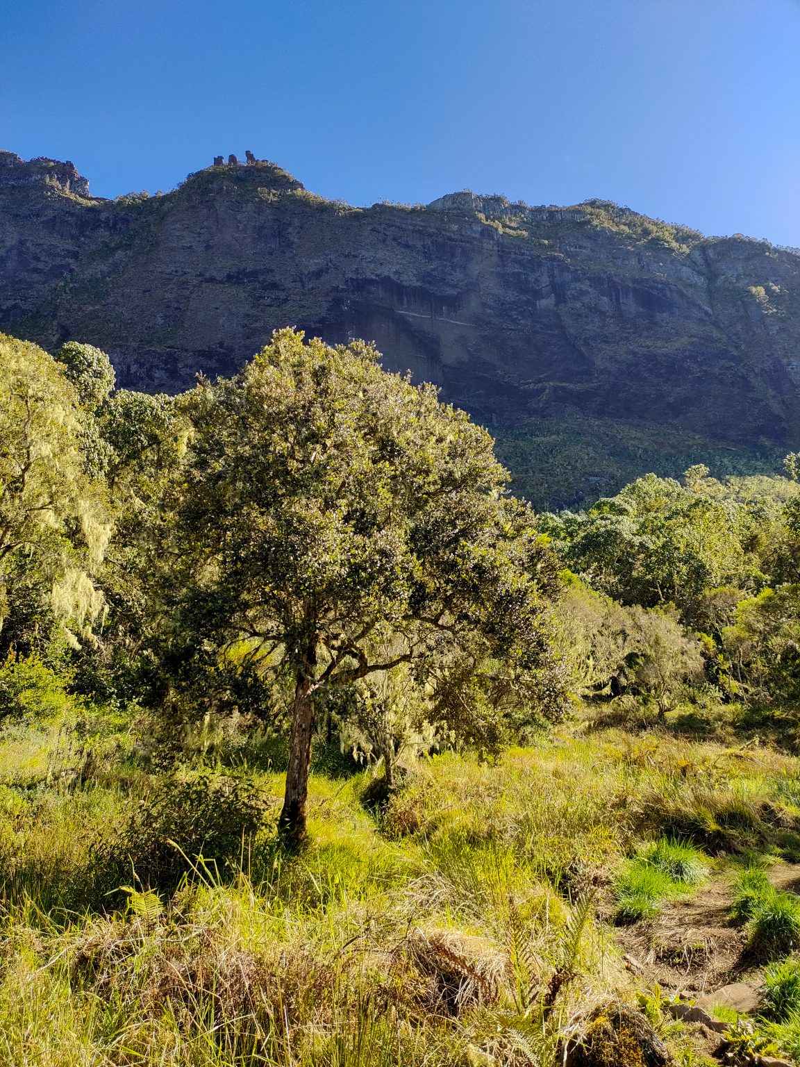 Randonnée à Cilaos une vue sur le Piton des Neiges