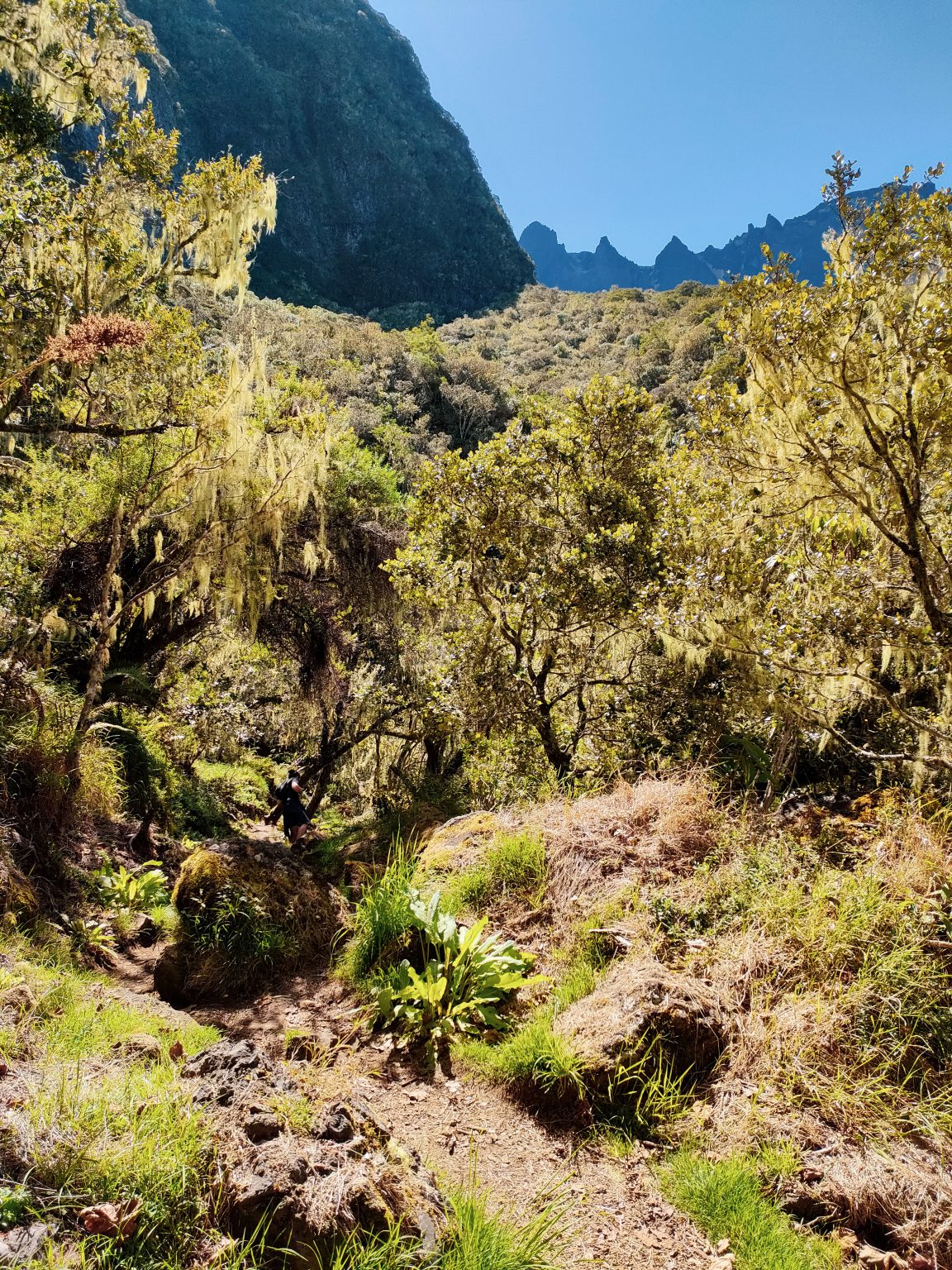 Randonnée à Cilaos une vue sur le Piton des Neiges