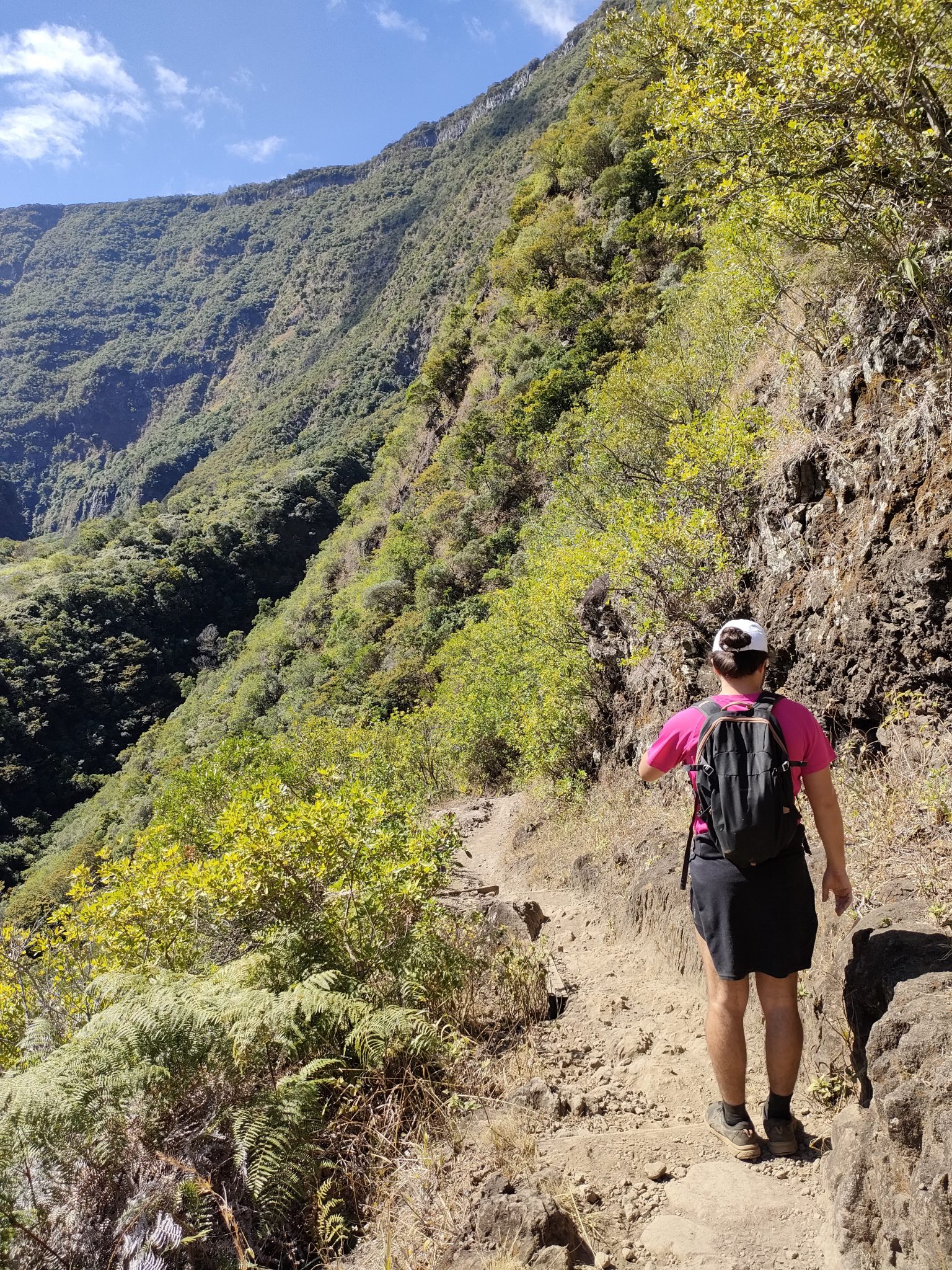 Sentier de Grand Bassin à La Réunion