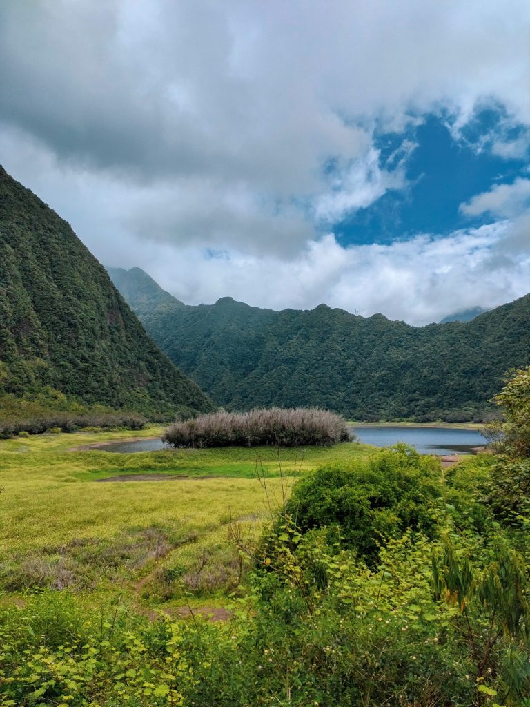 Grand Etang Réunion