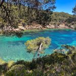 Port d'Alon : la randonnée sauvage entre la Madrague et la calanque secrète Port d'Alon