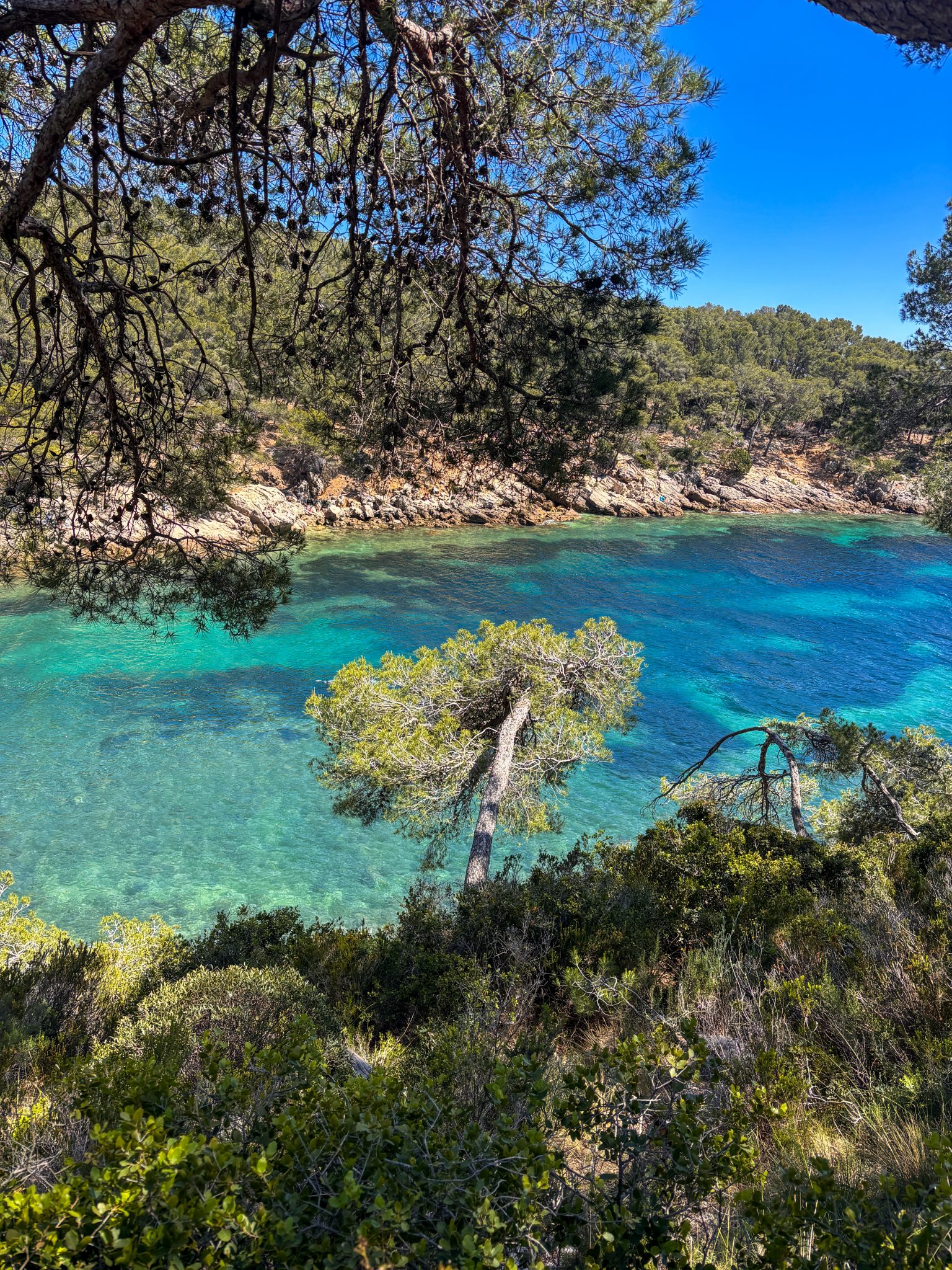 Port d'Alon